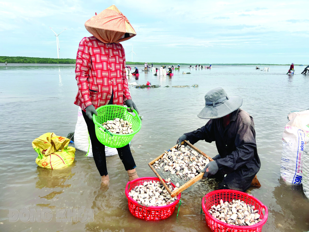 vang-trang-noi-bien-xanh